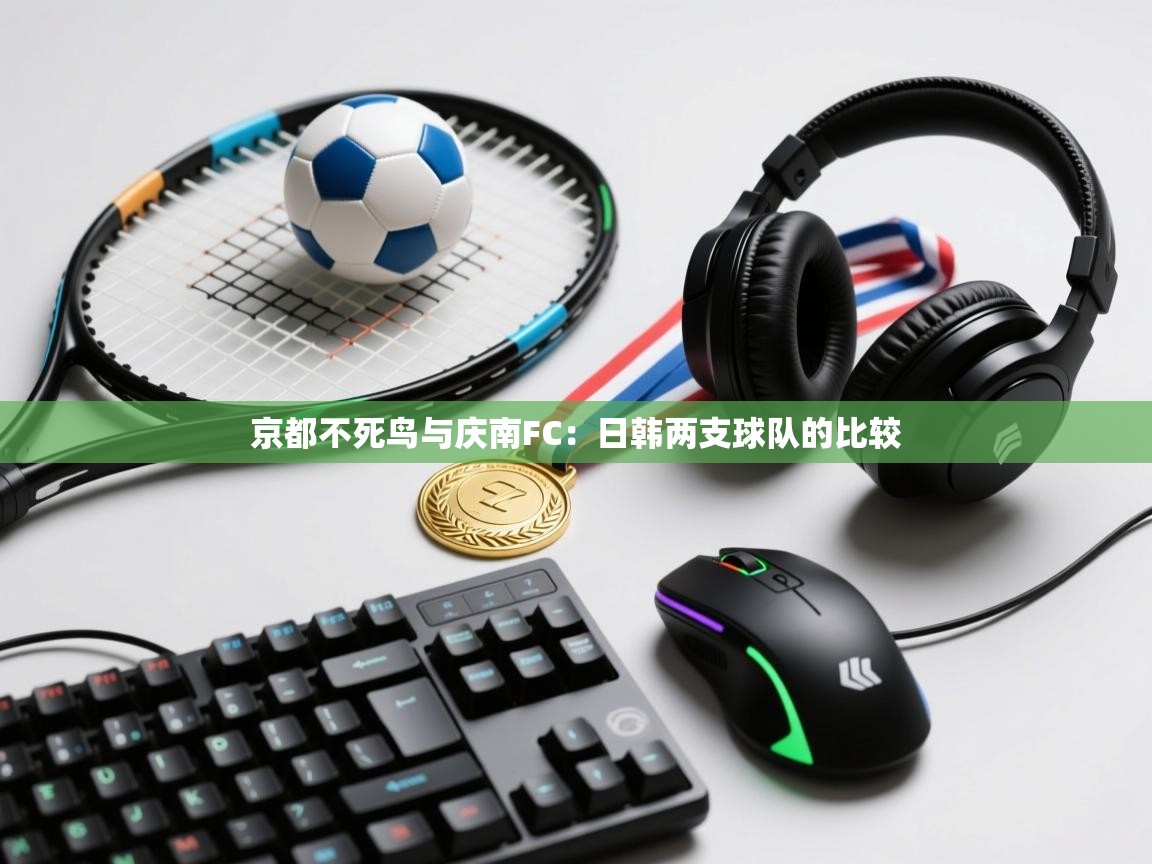 京都不死鸟与庆南FC：日韩两支球队的比较  第2张