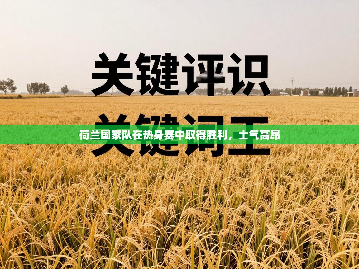 荷兰国家队在热身赛中取得胜利，士气高昂  第2张