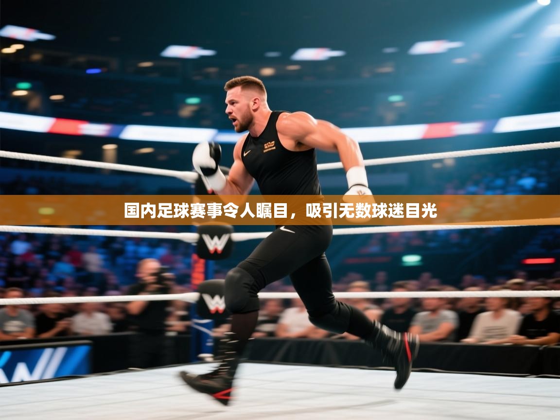 国内足球赛事令人瞩目,吸引无数球迷目光 第2张