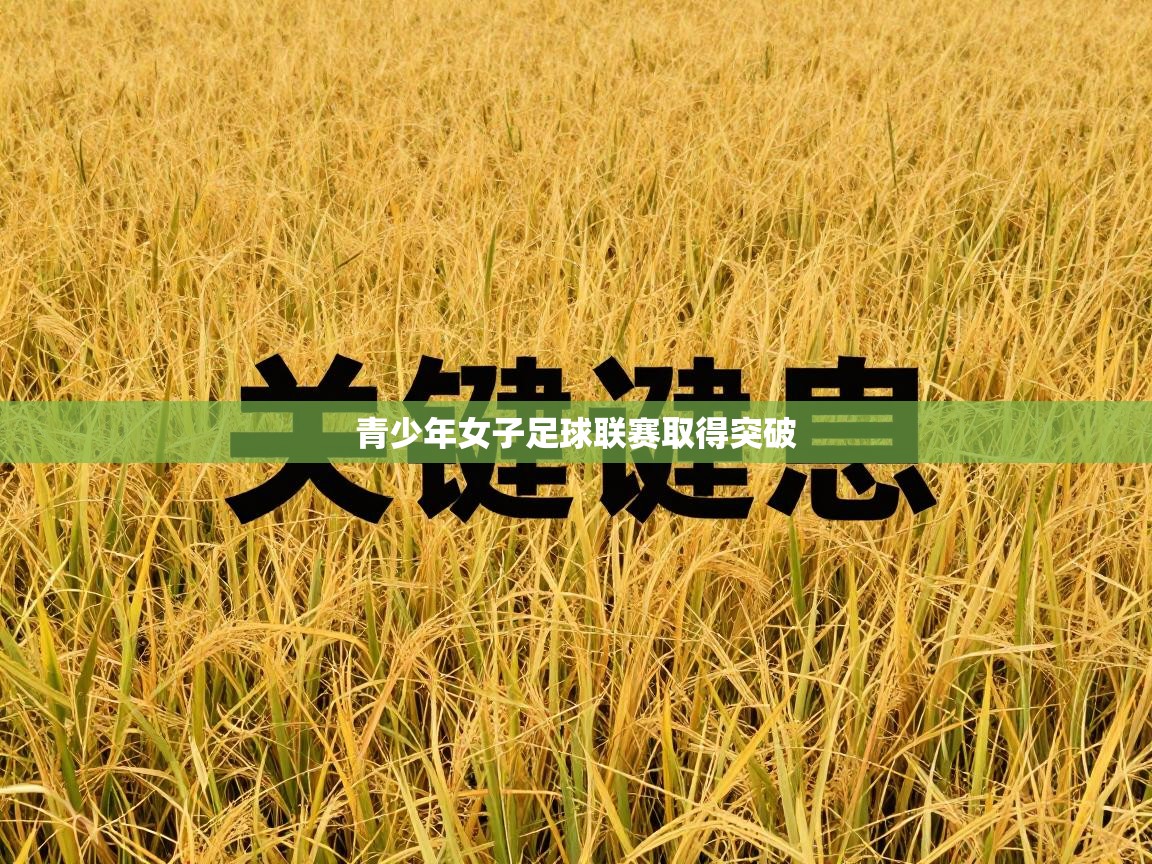 青少年女子足球联赛取得突破  第2张