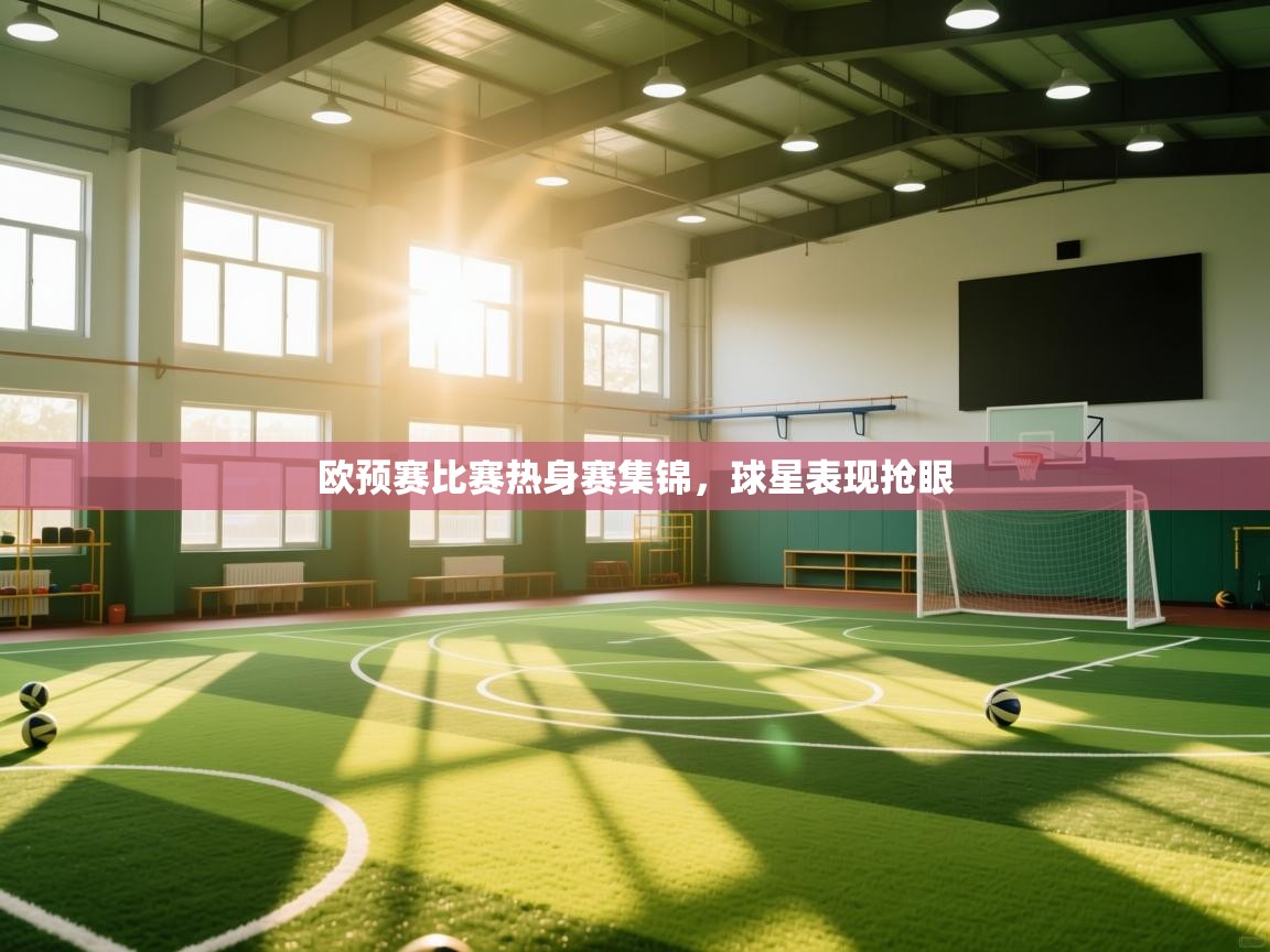 欧预赛比赛热身赛集锦，球星表现抢眼  第1张