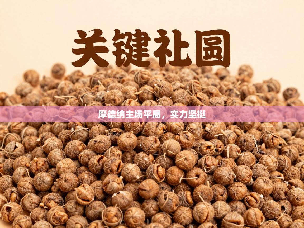 摩德纳主场平局，实力坚挺  第2张