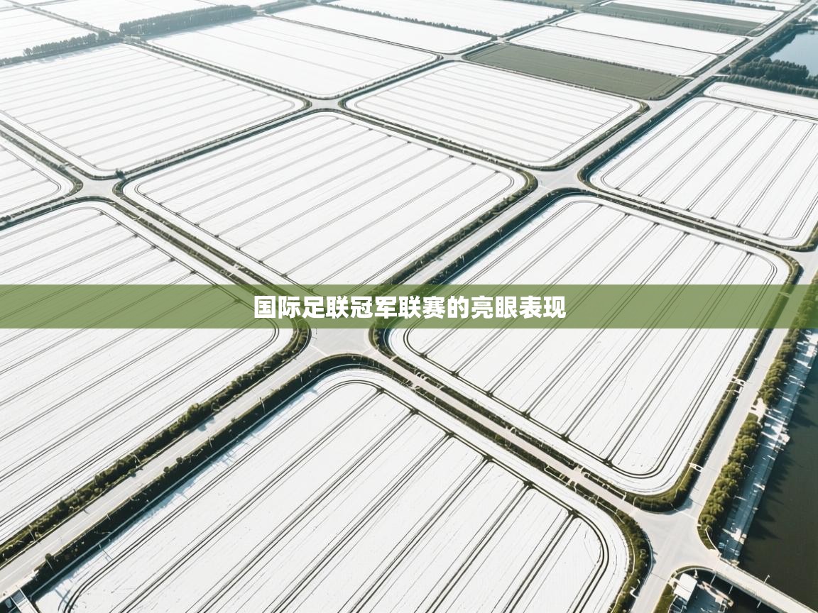 国际足联冠军联赛的亮眼表现  第1张