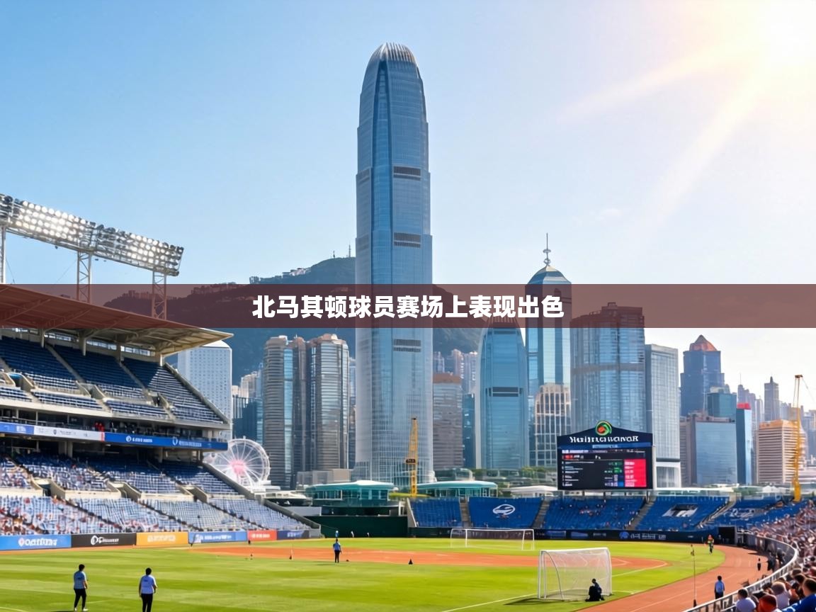 北马其顿球员赛场上表现出色 第2张